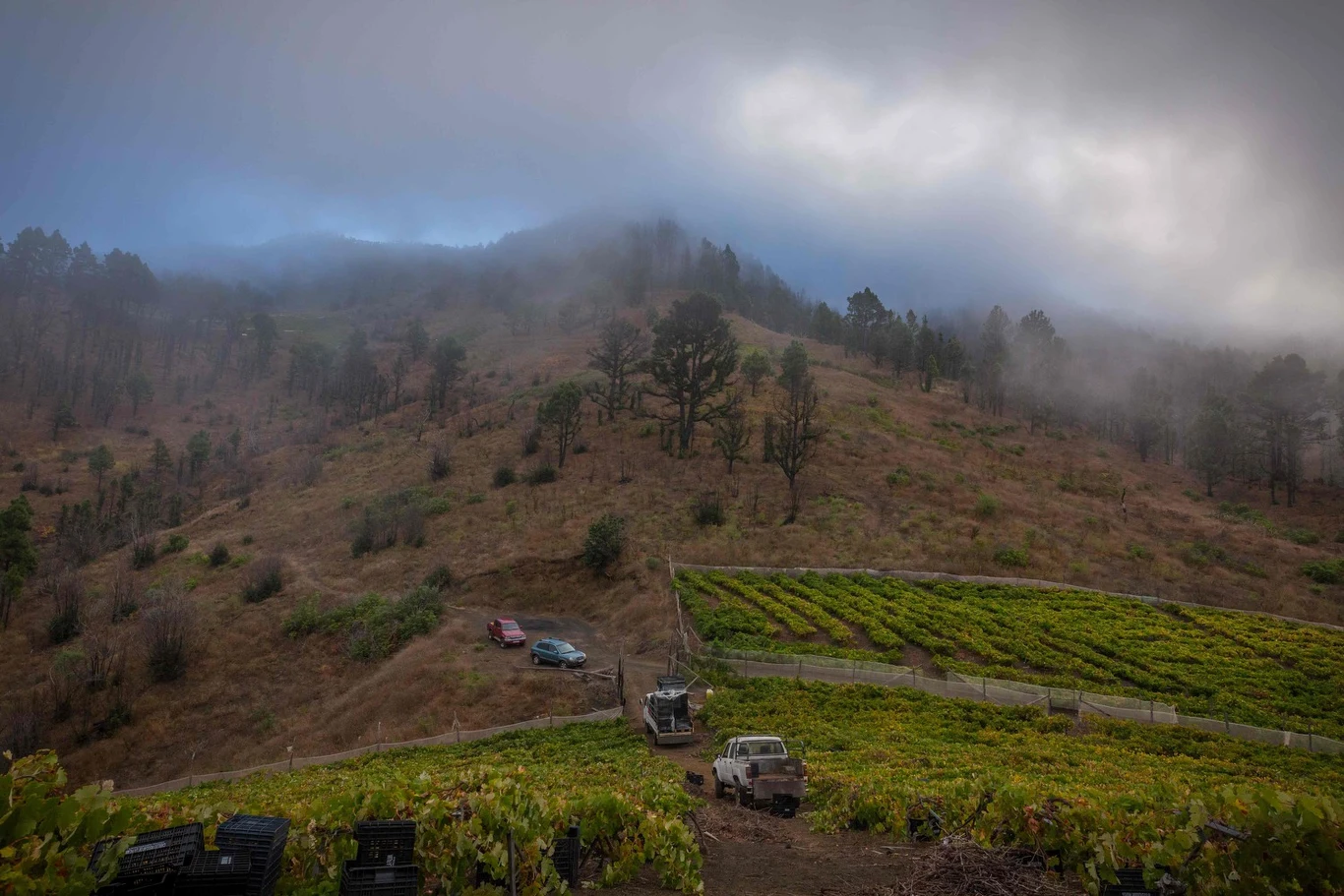 Wulkan Teneguia na kanaryjskiej wyspie La Palma. Wulkan Teneguia na kanaryjskiej wyspie La Palma.