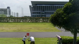 Ground Golf to odmiana golfa wywodząca się z Japonii