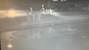 Mieszkańcy pobiegli na ratunek kotu (Źródło: Facebook/Gmina Nowy Dwór Gdański)