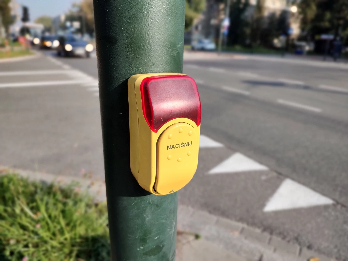 Motorola edge 20 - zdjęcia wykonane głównym obiektywem