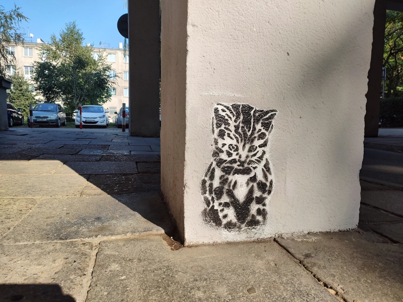 Motorola edge 20 - zdjęcia wykonane głównym obiektywem