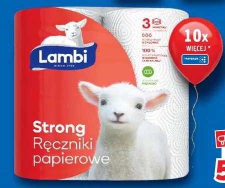 Ręcznik papierowy Lambi
