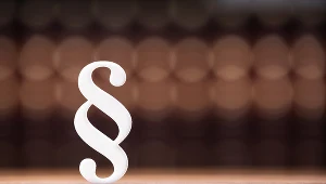 Zgodnie z Art. 52. § 1. K.p. rozwiązanie umowy z winy pracownika może nastąpić w przypadku ciężkiego naruszenia obowiązków