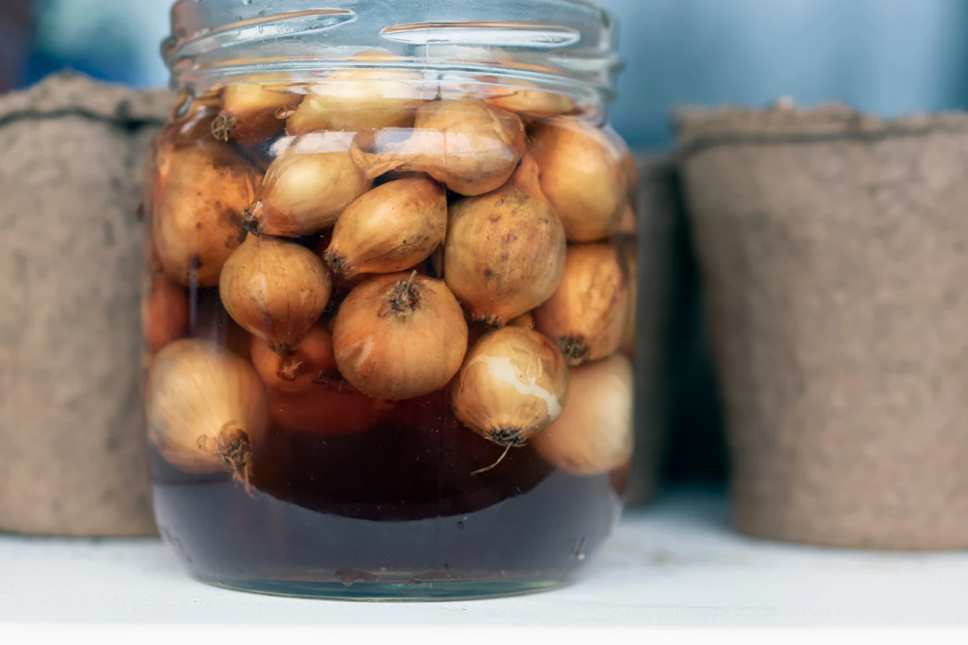 Naturalne sposoby zaprawiania kwiatów cebulowych