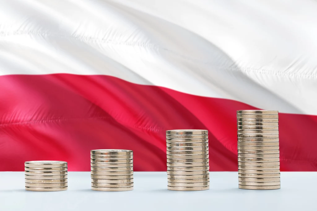 BGK będzie wspierał polską gospodarkę