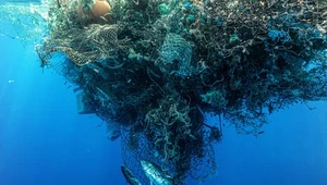 Porażka wielkiego sprzątania oceanu. Plastikowa wyspa śmieci wciąż rośnie