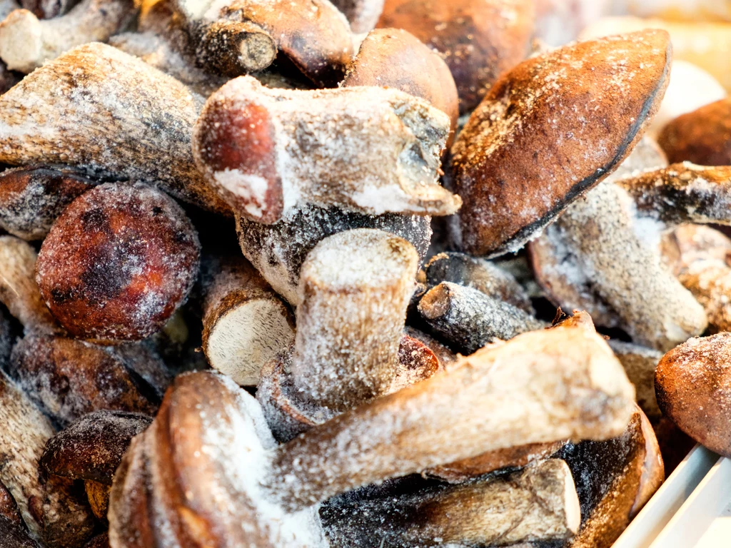 Mrożone grzyby posłużą do przygotowania wielu smacznych potraw