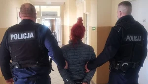 Gdańscy policjanci zatrzymali kobietę podejrzaną o wyrzucenie kota z okna 