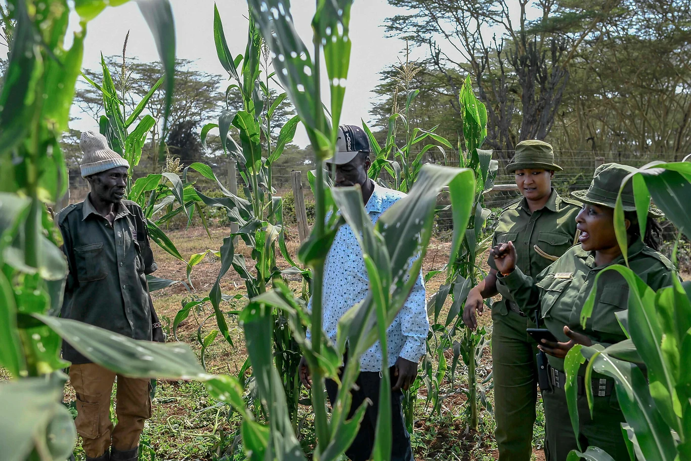 Pracownicy LWC próbują wytłumaczyć mieszkańcom, dlaczego nie powinni parać się zabijaniem zwierząt dla zysku. Bez pomocy lokalsów nie da się także skutecznie walczyć z kłusownikami.