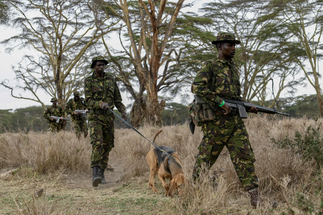 W tym rejonie kłusownictwo jest niezwykle popularne, toteż stworzenie takiej jednostki było nieuniknione.