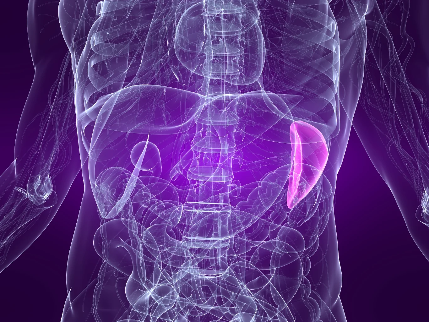 W tym miejscu zlokalizowana jest śledziona. Jeśli wyczuwasz ją dotykiem, udaj się do lekarza