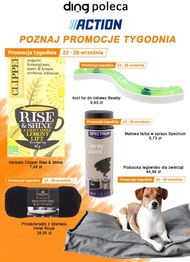 Promocje tygodnia w Action