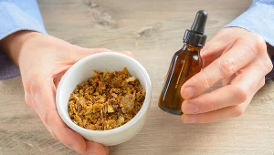 Propolis to skuteczny antybiotyk wprost z natury i znany od setek lat środek na wzmocnienie odporności