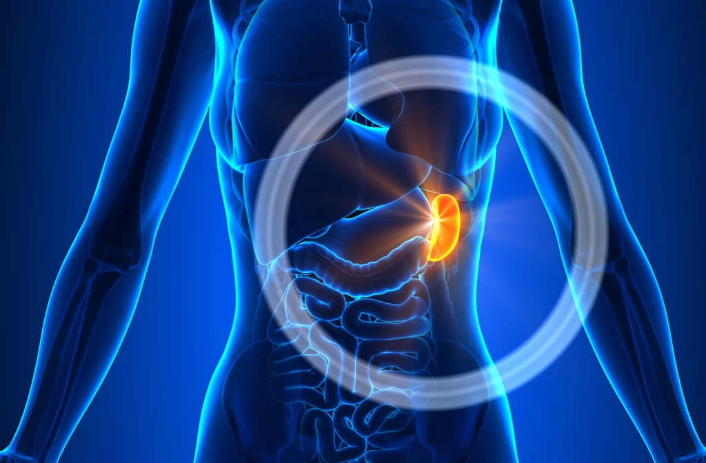 W tym miejscu zlokalizowana jest śledziona. Ten chirurg chyba o tym nie wiedział