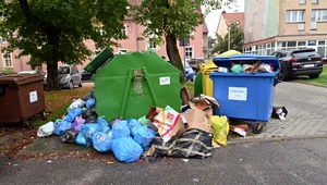 Goleniów tonie w śmieciach. Od dwóch tygodni nikt nie wywozi odpadów