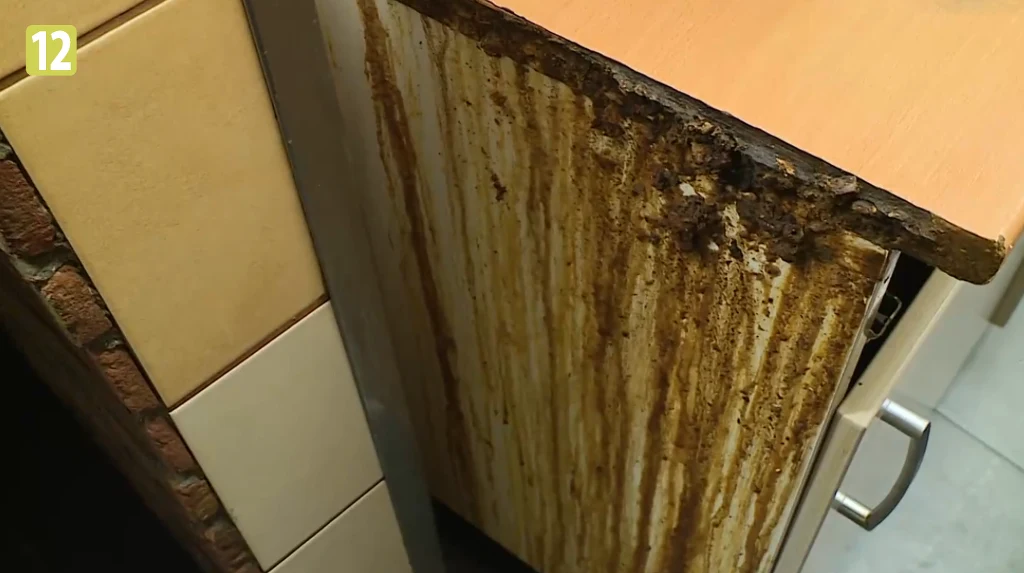 Kuchnia w restauracji "Tasty" Kuchnia w restauracji "Tasty"