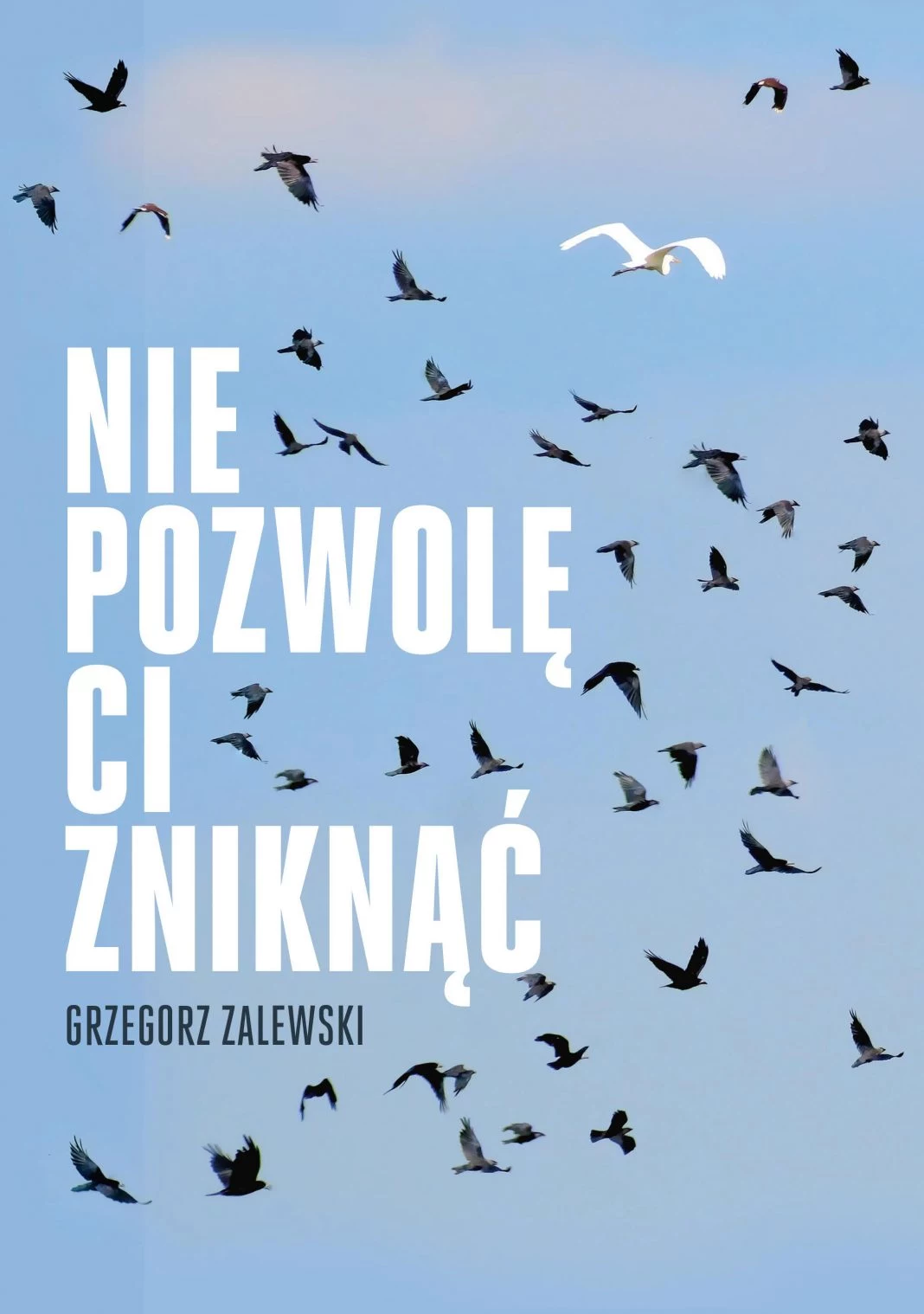 "Nie pozwolę ci zniknąć", Grzegorz Zalewski 