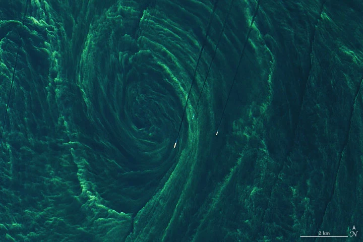 Zielony wir na Bałtyku został sfotografowany w 2020 roku
