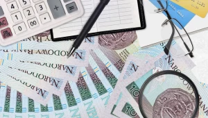 Złoty przerwał fatalną passę (zdj. ilustracyjne)