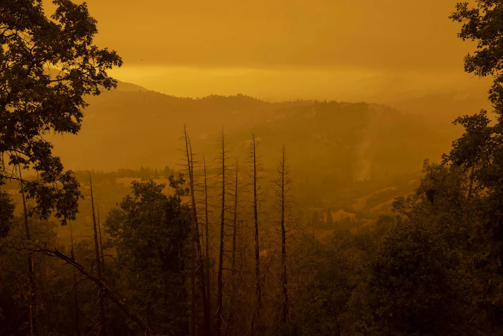 Krajobraz zasłonięty dymem z pożarów lasów w Kalifornii. 