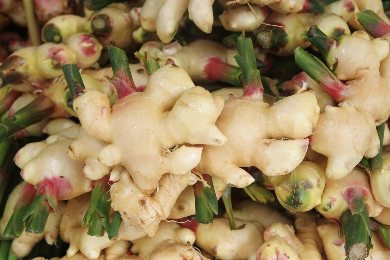 Do specyficznego smaku imbiru trzeba się przyzwyczaić