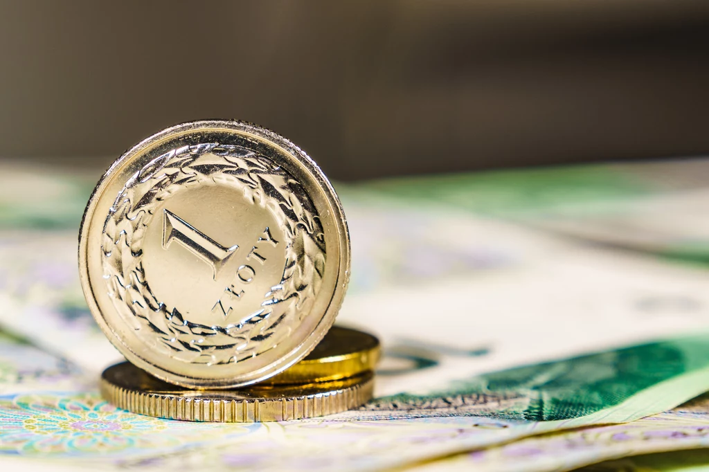 Złoty pozostaje stabilny. Kursy walut w piątek 12 stycznia. Zdj. ilustracyjne