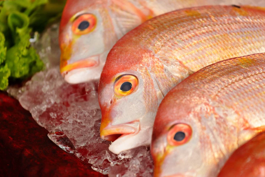 Ryby są cennym produktem żywieniowym, ale niektóre gatunki owiane są złą sławą