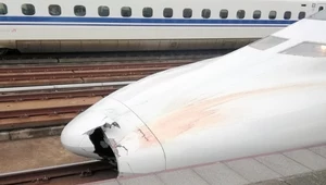 Shinkansen zabił człowieka, a maszynista zorientował się dopiero po przejechaniu 32 km