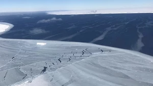 Pierwsza ekspedycja badawcza odkrywa nieznany ekosystem Antarktydy