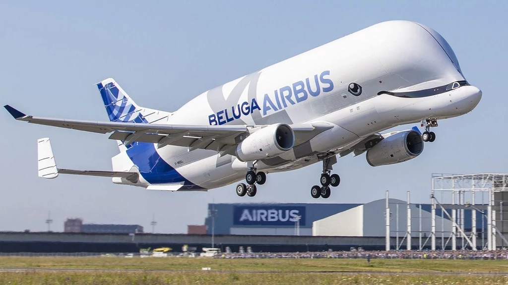 Tak prezentuje się Airbus BelugaXL w trakcie dziewiczego lotu