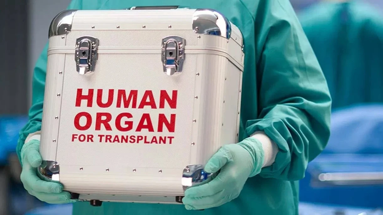 Przełomowa operacja przeszczepu płuc i wątroby od dawcy z HIV Członek personelu medycznego w zielonym stroju trzyma pojemnik z napisem „HUMAN ORGAN FOR TRANSPLANT” na sali szpitalnej.