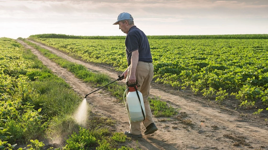 Roundup od Monsanto wywołał raka u ogrodnika. Sąd wyznaczył 289 mln $ odszkodowania