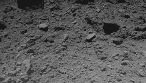 Łaziki przesyłają dane o planetoidzie Ryugu. Obiekt zaskoczył astronomów