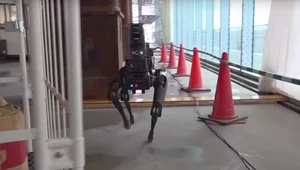 Nowy film z robotem SpotMini w roli głównej od Boston Dynamics