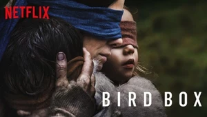 Netflix ostrzega przed udziałem swoich użytkowników w wyzwaniu Bird Box