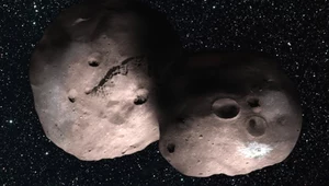 Nowe, interesujące wieści na temat tajemniczej planetoidy Ultima Thule