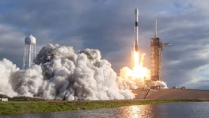 Mur prezydenta Trumpa podzieli tereny testowe i platformy startowe firmy SpaceX?