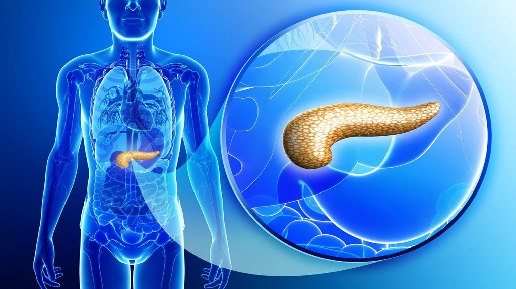 Rewolucja w medycynie! Polacy wydrukowali pierwszą na świecie bioniczną trzustkę