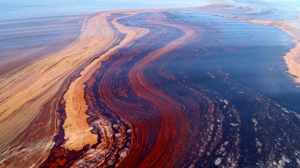 W najgłębszym rowie oceanicznym na Ziemi odkryto bakterie żywiące się ropą