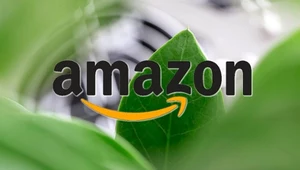 4000 pracowników Amazonu wnioskuje o zmianę polityki klimatycznej firmy