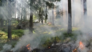 Stężenie CO2 na rekordowo wysokim poziomie. Najnowsze badania przerażają