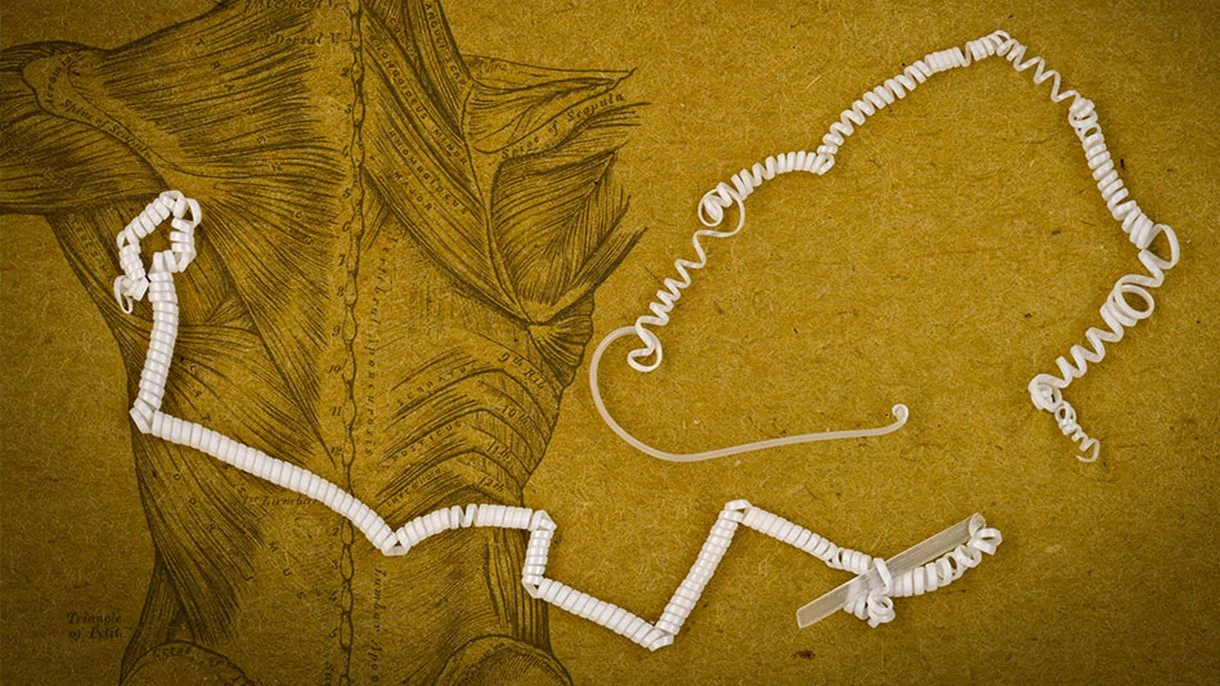 Syntetyczne włókna mięśniowe pozwolą na muskularne roboty i protezy Syntetyczne włókna mięśniowe pozwolą na muskularne roboty i protezy