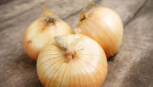 Cebula przez nasze babcie wykorzystywana była na rozmaite sposoby. Kiedy coś dolegało, sięgano po syrop z cebuli, sok z cebuli czy okłady z cebuli