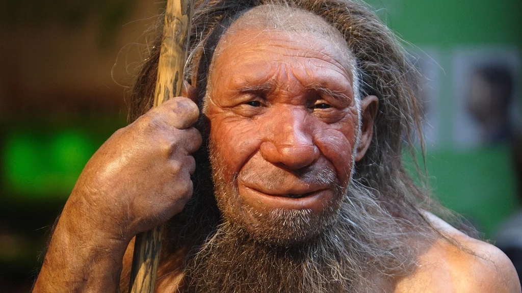 Neandertalczyk wcale nie był taki bystry, jak dotychczas wszyscy sądziliśmy