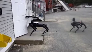 Robot SpotMini od Boston Dynamics pojawił się w szeregach policji (film)