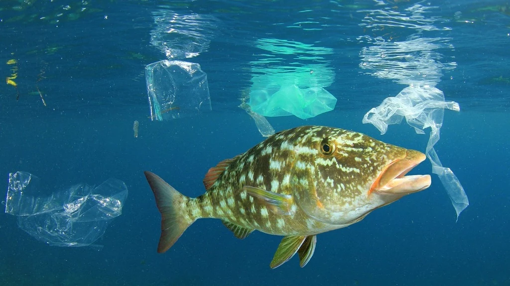 Bąbelki powietrza ochronią światowe oceany przed górami plastikowych śmieci