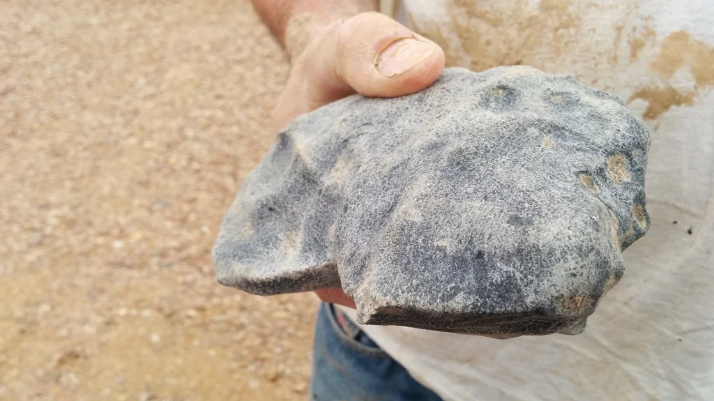 Meteoryt odkryty w Australii jest starszy od Ziemi, a nawet Układu Słonecznego