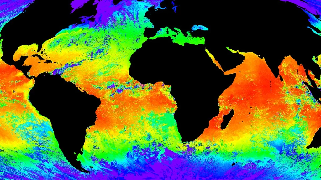 Klimatolodzy: Temperatury oceaniczne na rekordowo wysokim poziomie