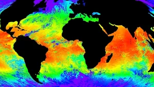 Klimatolodzy: Temperatury oceaniczne na rekordowo wysokim poziomie