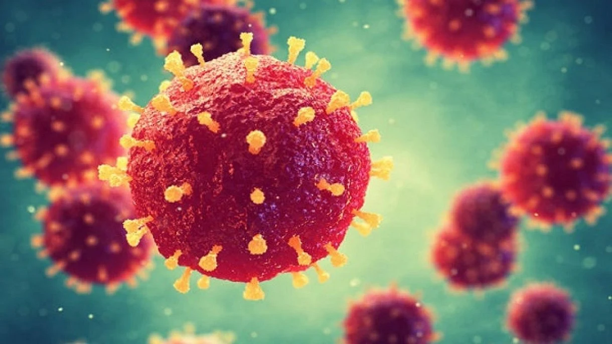 W Chinach pojawił się nowy, groźny wirus, który może zdziesiątkować ludzkość W Chinach pojawił się nowy, groźny wirus, który może zdziesiątkować ludzkość